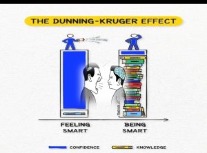 Termul dan Sindroma Dunning-Krunger dalam Demokrasi Digital